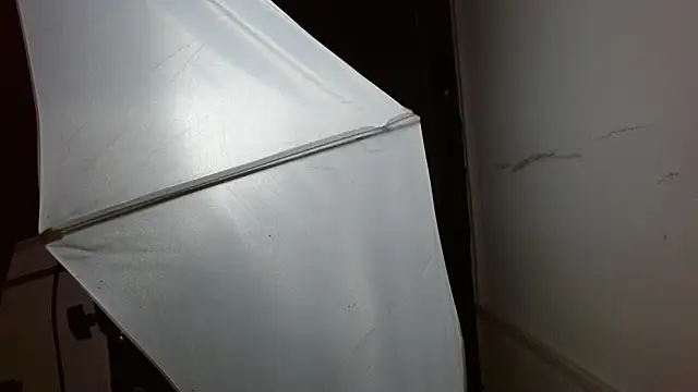 Snapshot of Miss_Merrie chatting on March 2, 10:11 am Miss Merrie online show from March 2, 10:11 am