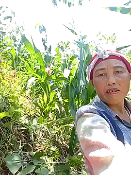 lena-cute online show from May 13, 5:14 am