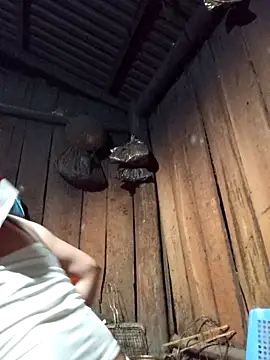 Snapshot of lena-cute chatting on February 5, 12:56 pm lena-cute online show from February 5, 12:56 pm