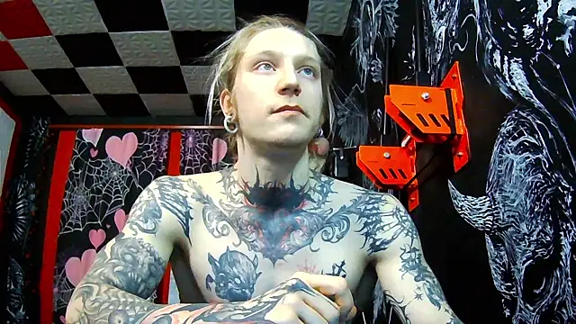 Elven Damocles online show from February 5, 2:13 pm