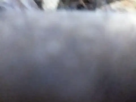 Snapshot of Joecool1009 chatting on February 3, 12:32 am Joecool1009 online show from February 3, 12:32 am