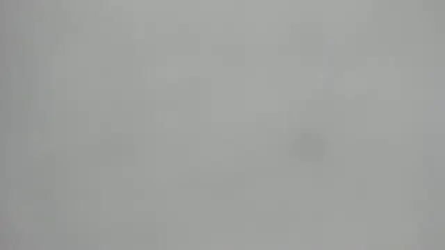  1DERECK online show from February 19, 10:01 am