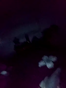 loveofpetitegirls34 online show from February 13, 3:28 am