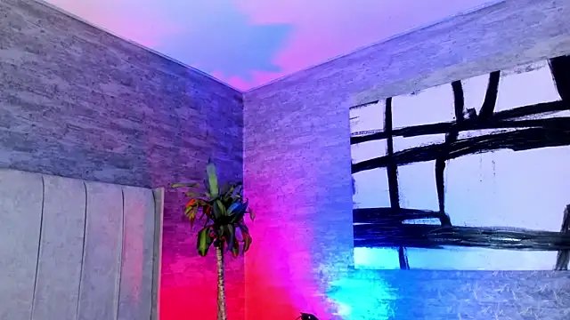 Snapshot of Elbombondelcircuit chatting on February 22, 8:06 am Elbombondelcircuit online show from February 22, 8:06 am