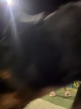 Arya    online show from February 19, 5:48 am