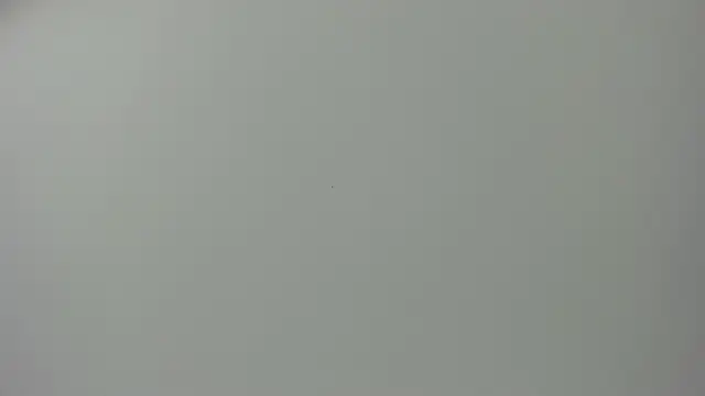 Raven love online show from April 28, 5:17 pm