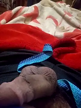 Al-Hari online show from February 8, 6:05 pm