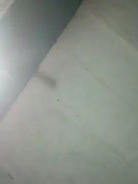 Hot ras28 online show from February 20, 9:28 pm