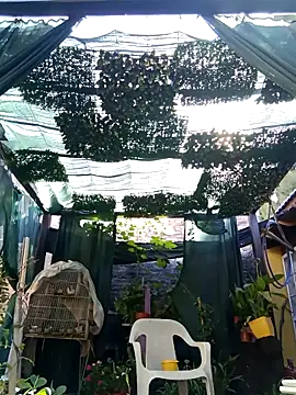 Snapshot of gordorichard chatting on February 21, 12:40 pm gordorichard online show from February 21, 12:40 pm