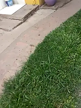 Snapshot of gordorichard chatting on February 4, 4:46 pm gordorichard online show from February 4, 4:46 pm