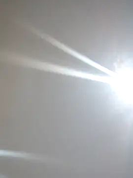 xnegritx online show from April 5, 4:30 am