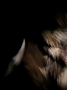 Nonamebadboy7 online show from March 18, 4:15 am