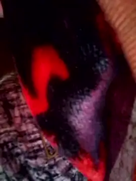 Talkwithsex online show from March 30, 2:46 am