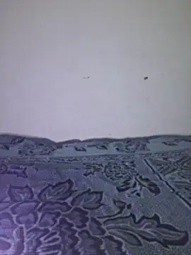 Sakeemaxxy online show from April 13, 9:08 pm