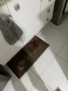 Russo18cm online show from February 21, 6:37 am