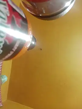 perrit17 online show from April 4, 3:13 am