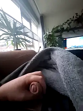 Bashard online show from February 12, 7:41 am