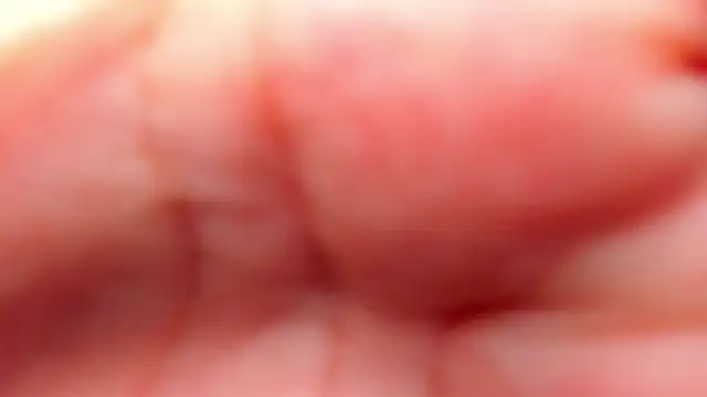 RinaFox   online show from February 21, 1:18 am