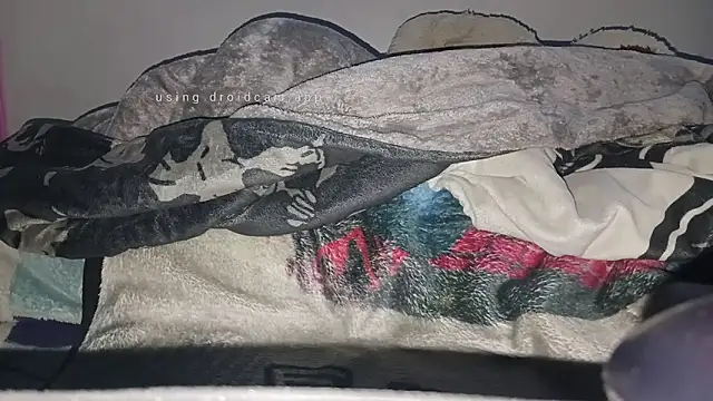 rodrigo uwu1 online show from February 8, 9:01 pm