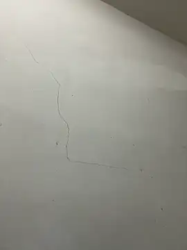 Ttony502 online show from March 24, 12:32 am