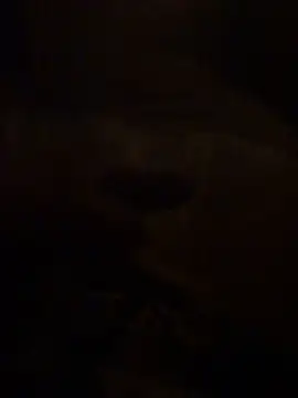 Tommyzzzzzz online show from October 3, 7:48 pm