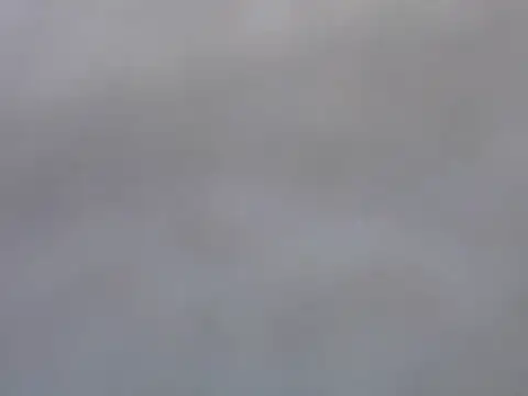 Dini 40 online show from February 5, 1:29 pm