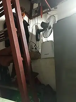 Snapshot of Wildcam21 chatting on February 28, 6:35 am Wildcam21 online show from February 28, 6:35 am