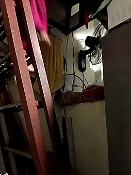 Snapshot of Wildcam21 chatting on February 15, 5:19 am Wildcam21 online show from February 15, 5:19 am