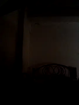 Snapshot of Wildcam21 chatting on February 17, 9:12 pm Wildcam21 online show from February 17, 9:12 pm