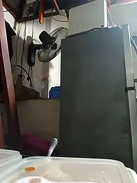 Snapshot of Wildcam21 chatting on February 24, 9:54 am Wildcam21 online show from February 24, 9:54 am