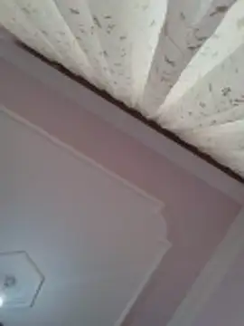 boraaily online show from February 23, 8:04 am