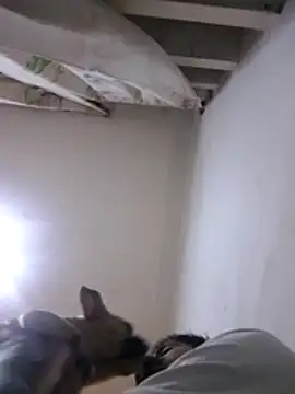 CubanoxxxSex online show from February 12, 5:13 pm