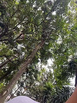 Gael Velaryx online show from April 10, 3:30 pm