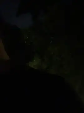 Gael Velaryx online show from April 2, 3:13 am