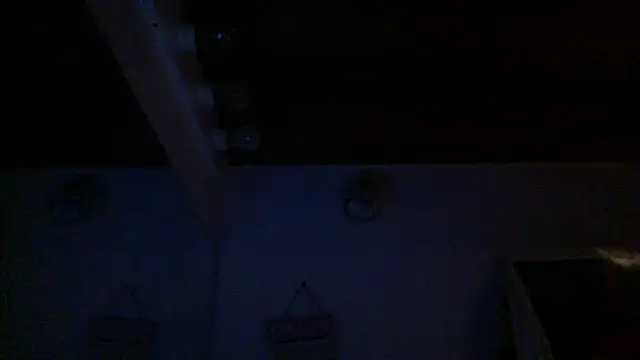 dixiedevin online show from March 5, 10:45 am