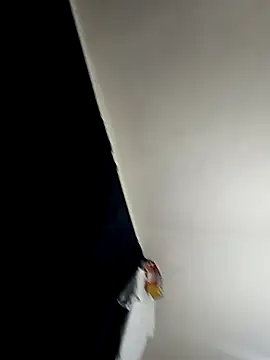 Snapshot of baby_22cm chatting on February 11, 1:38 am baby 22cm online show from February 11, 1:38 am