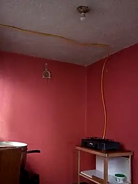 baby 22cm online show from March 13, 11:59 am