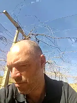 circott online show from February 22, 12:18 pm