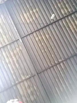 Linka998 online show from March 25, 4:45 am