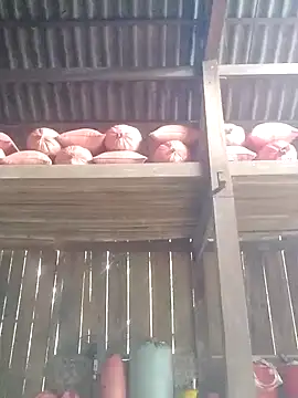 Linka998 online show from March 3, 6:31 am