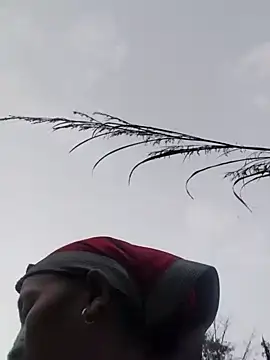 Linka998 online show from March 20, 11:11 am