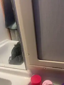 stallone italiano 62 online show from February 26, 6:57 am