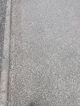 stallone italiano 62 online show from April 12, 6:16 am