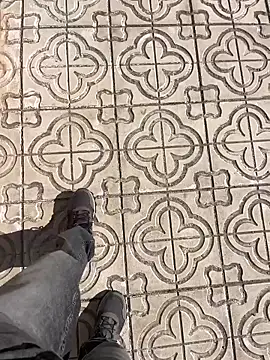 stallone italiano 62 online show from March 25, 9:41 am