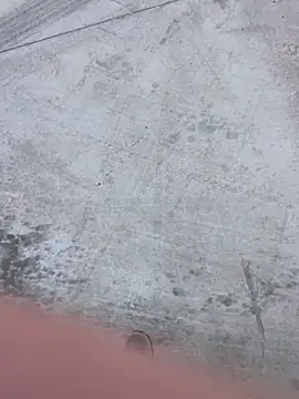 stallone italiano 62 online show from February 8, 11:08 am