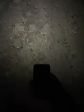 stallone italiano 62 online show from February 17, 11:24 pm