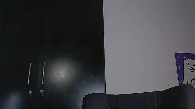 Snapshot of Thommas8a chatting on February 16, 2:43 am Thommas8a online show from February 16, 2:43 am