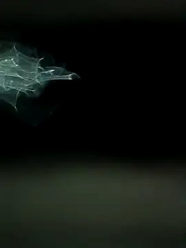 maharashtra boy mh19 online show from March 18, 8:43 pm