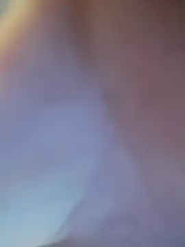 fifo9000 online show from February 9, 6:44 am