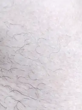 Bangladeshi big online show from April 17, 6:22 pm